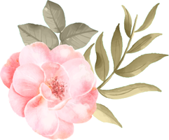 decor image